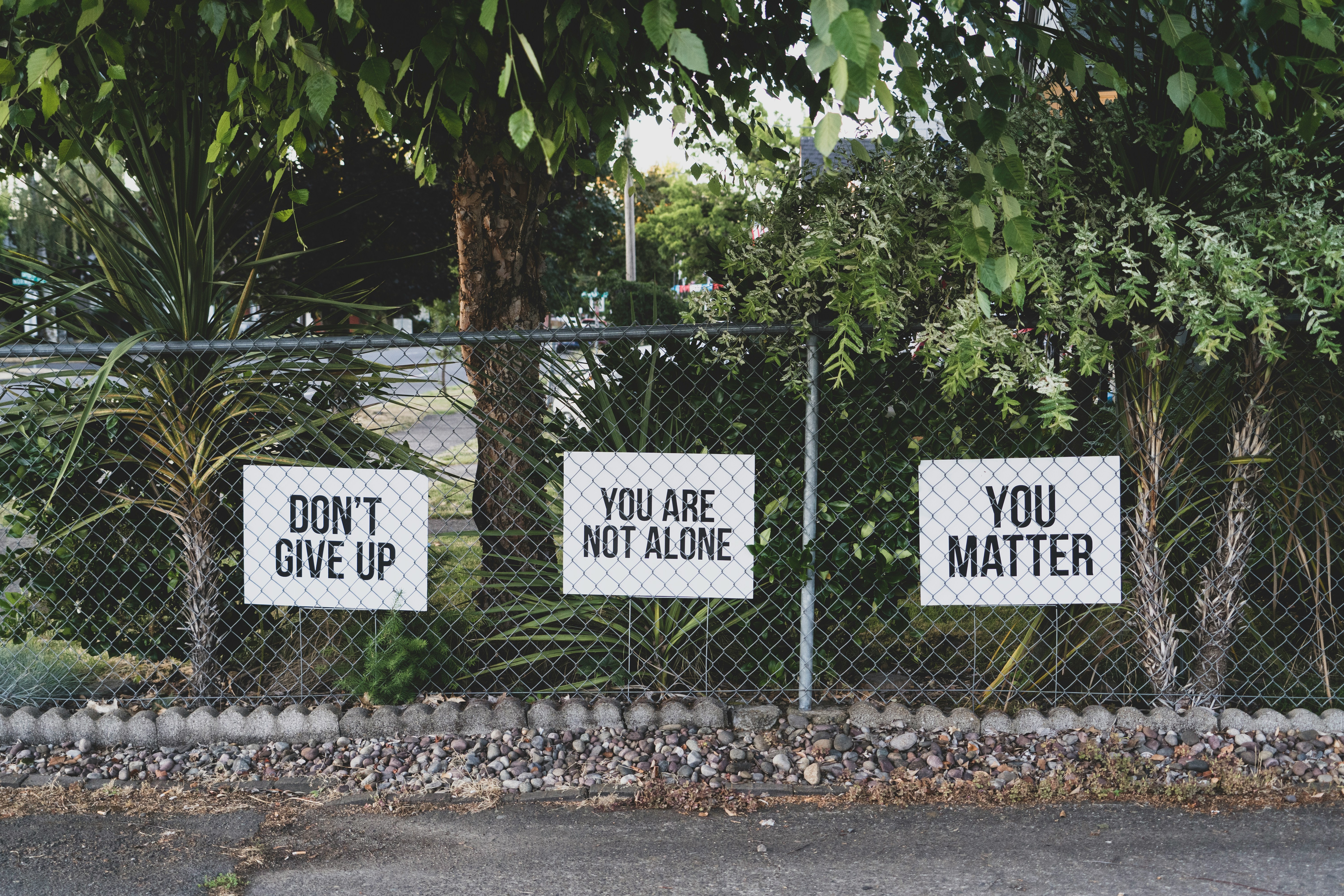 Sign saying: Don't Give Up. You Are Not Alone.